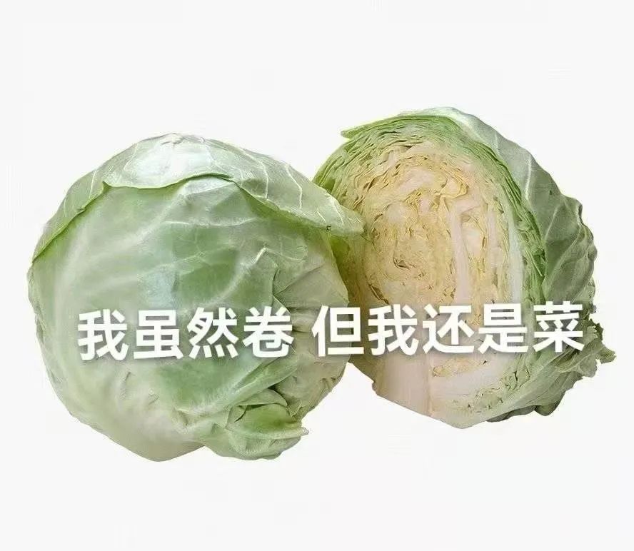 排名全球第一的资源网站,终于有了软件版(内含福利)!