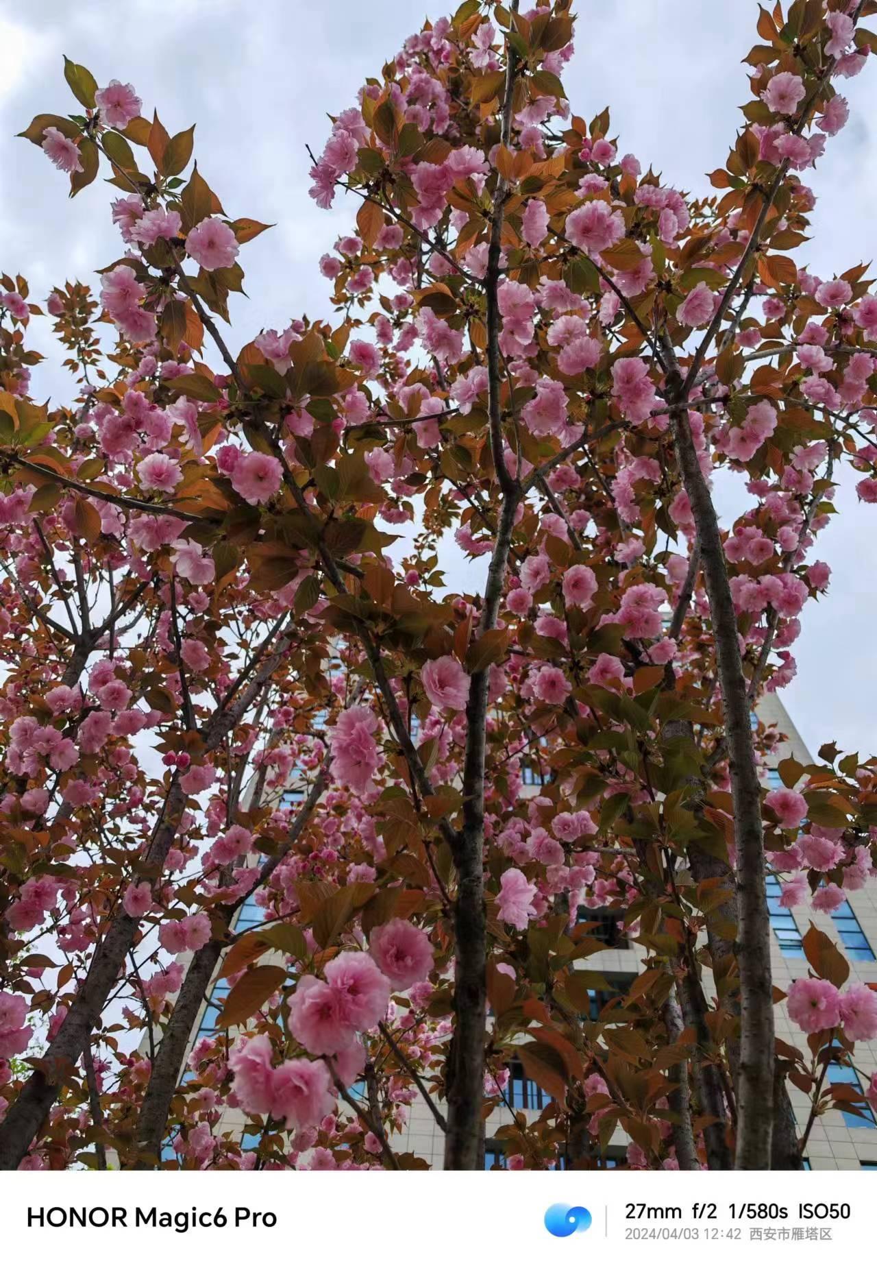 微信图片_20240409225016.jpg